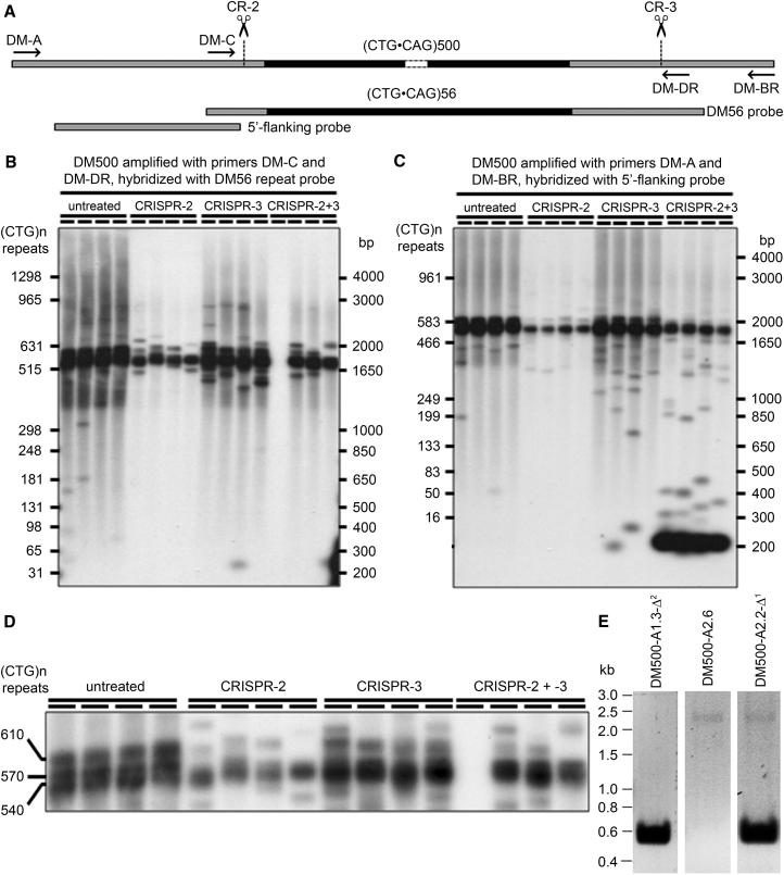 Figure 3