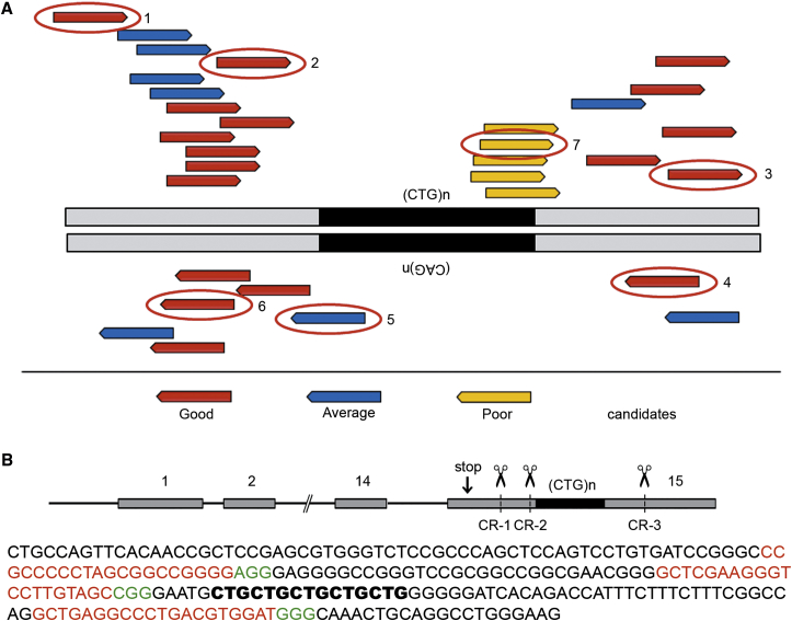 Figure 1