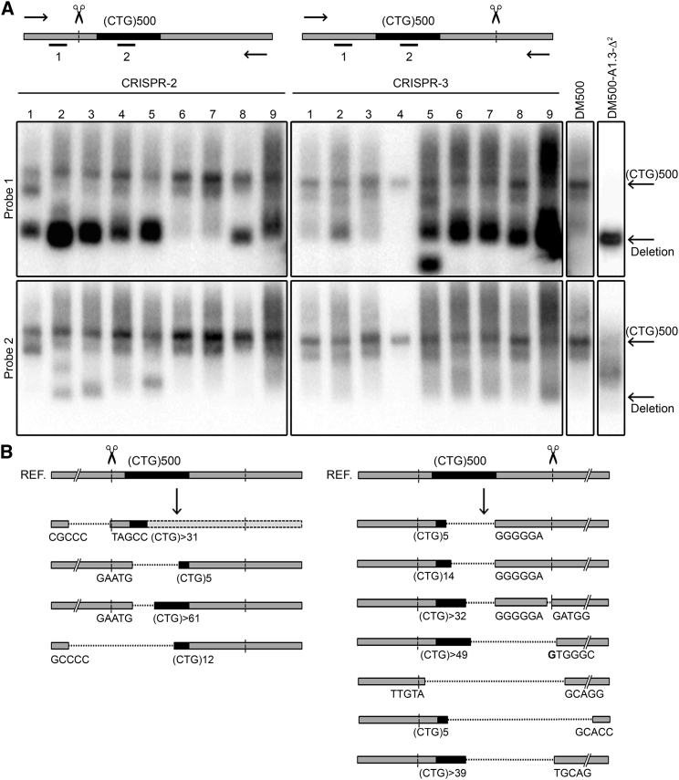 Figure 4