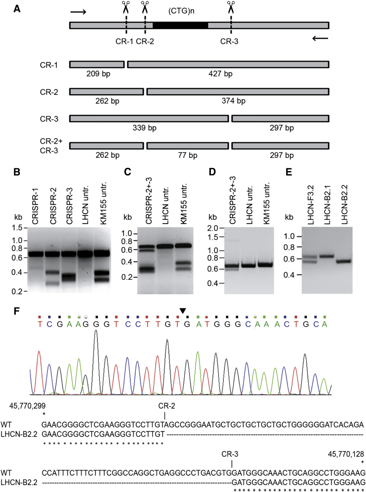 Figure 2