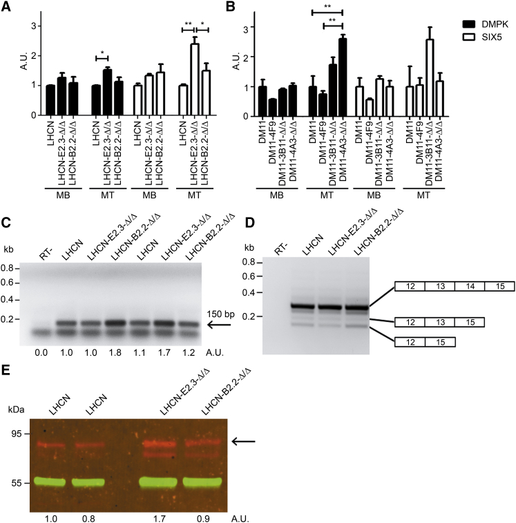 Figure 6