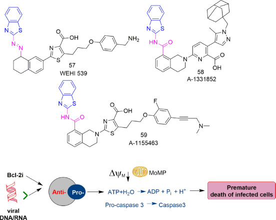 Figure 21