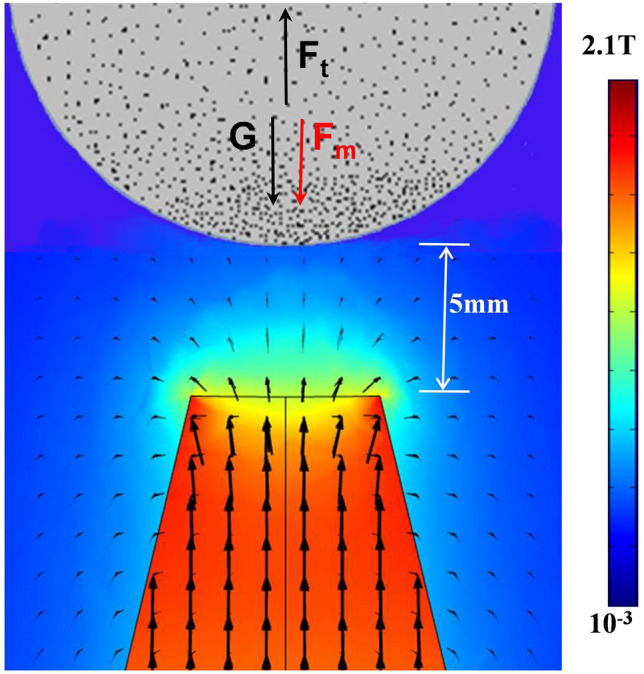 Figure 10