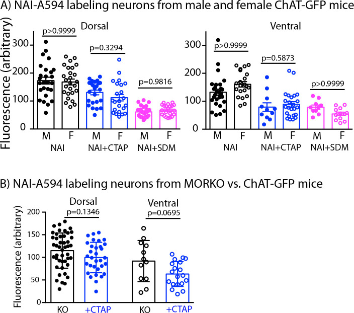 Figure 3—figure supplement 1.