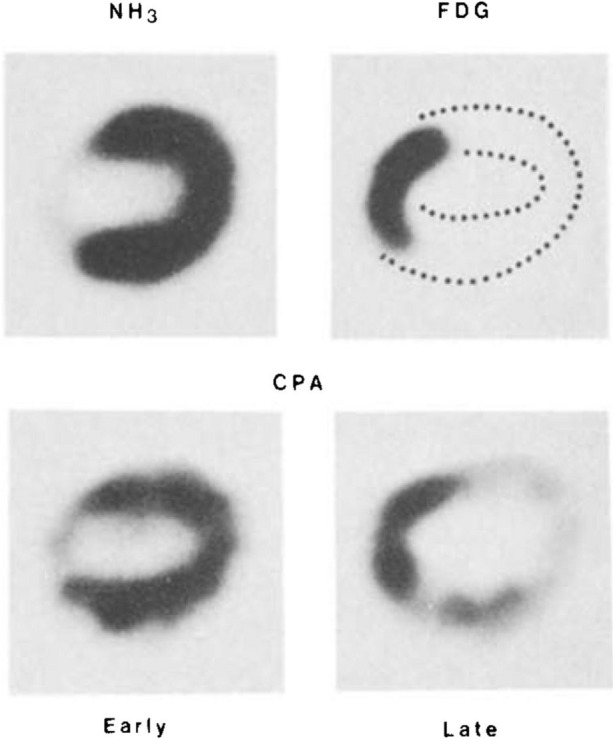 graphic file with name 12350_2021_2765_Figb_HTML.jpg