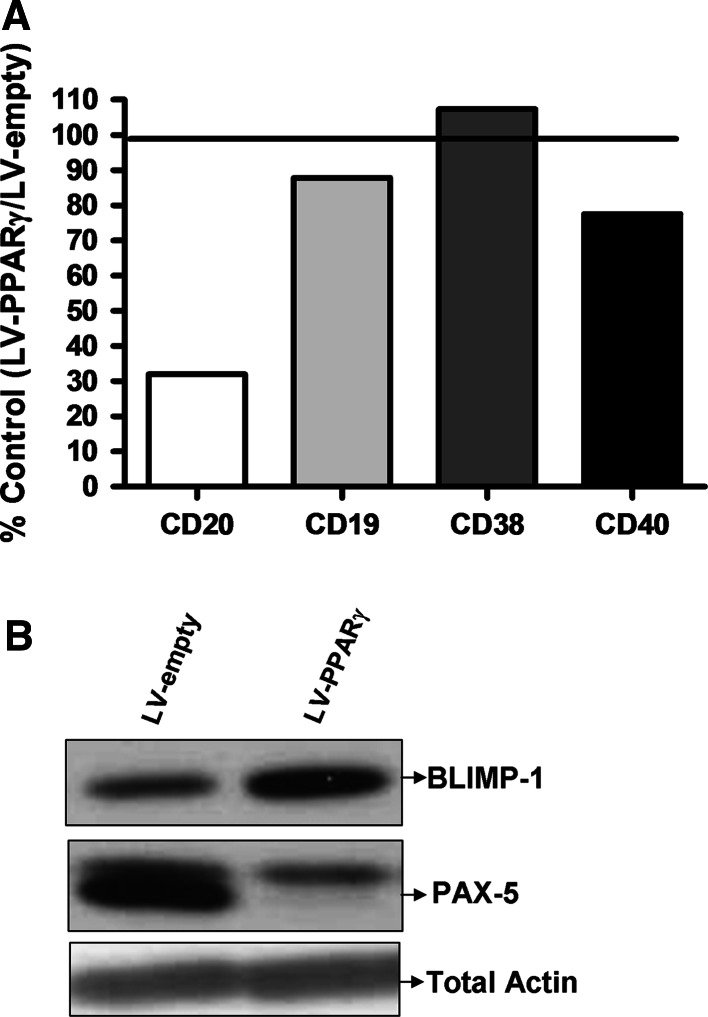 Fig. 7
