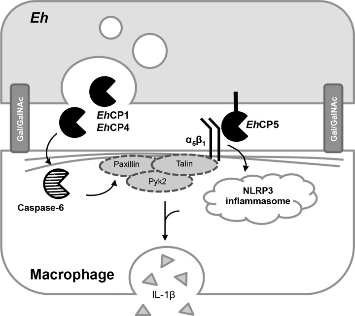 Fig 9