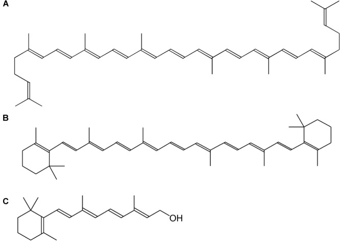 FIGURE 1