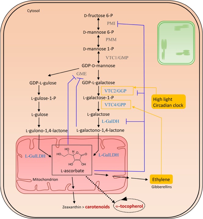 FIGURE 3