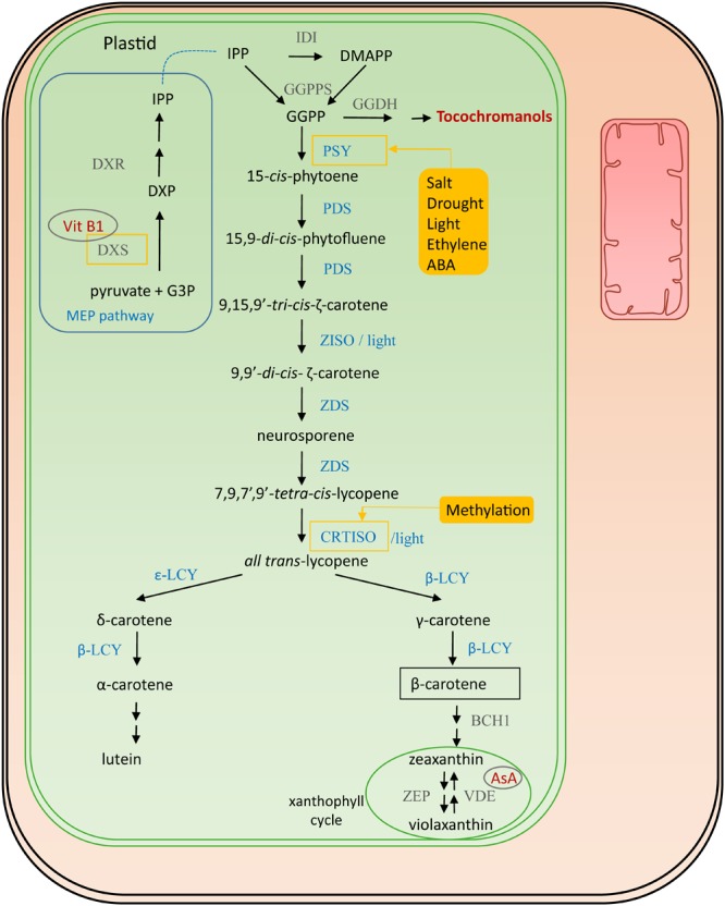 FIGURE 2