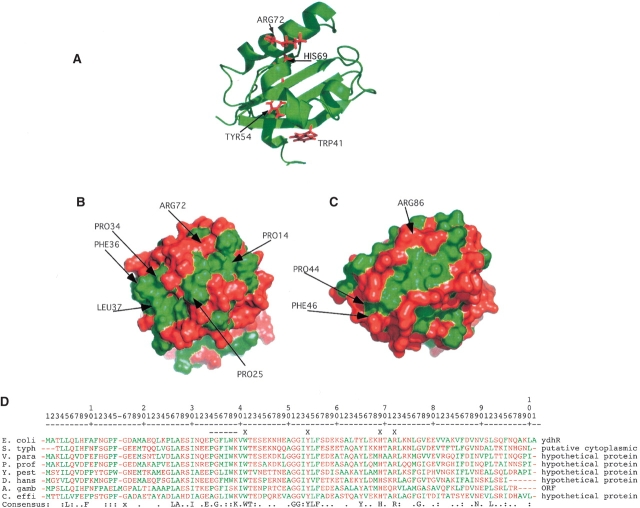 Figure 2.