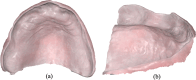 Fig. 5