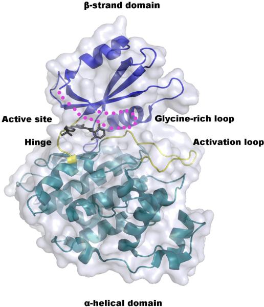 Fig. 4