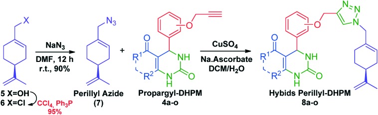 Scheme 2