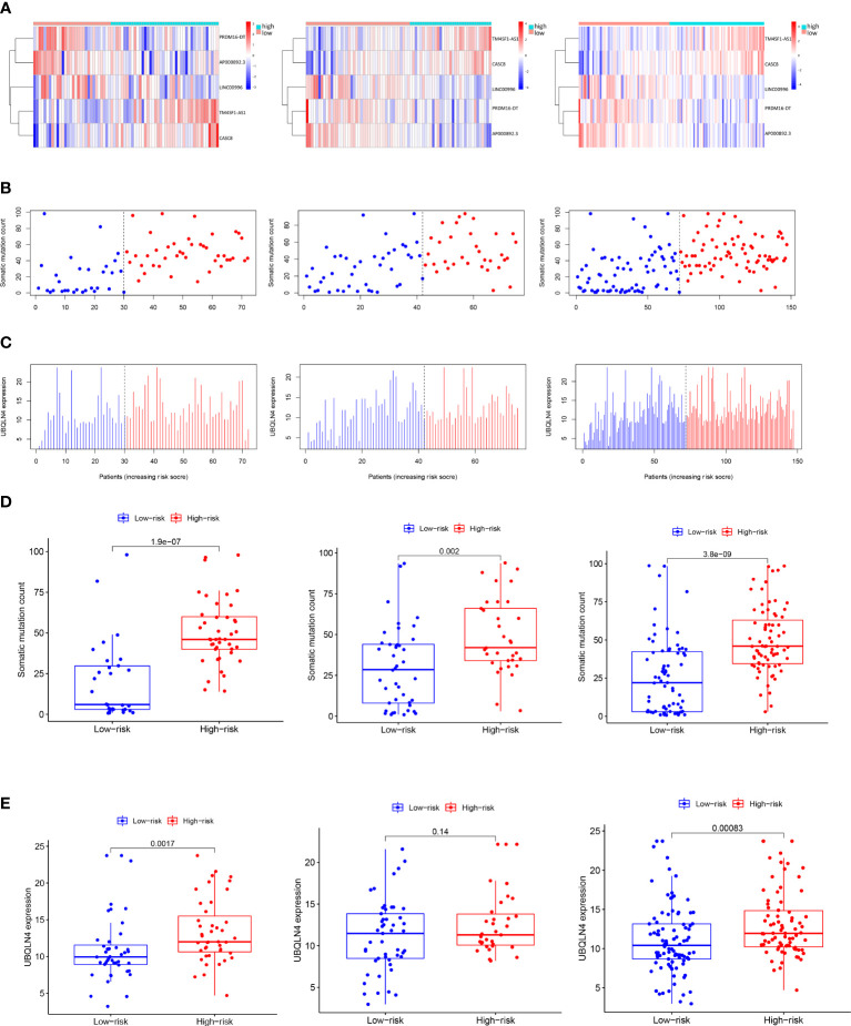 Figure 3