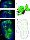 Fig. 4.