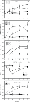 Fig. 3.