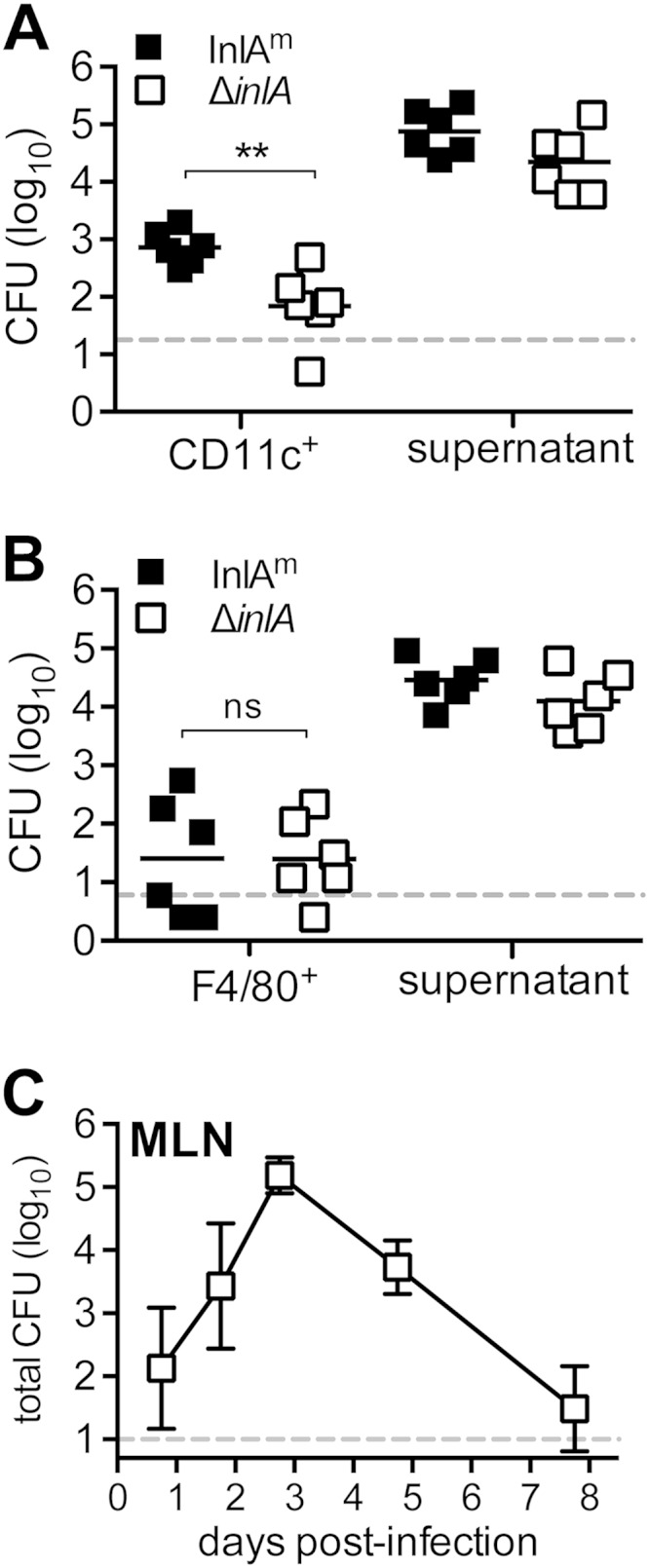 FIG 2