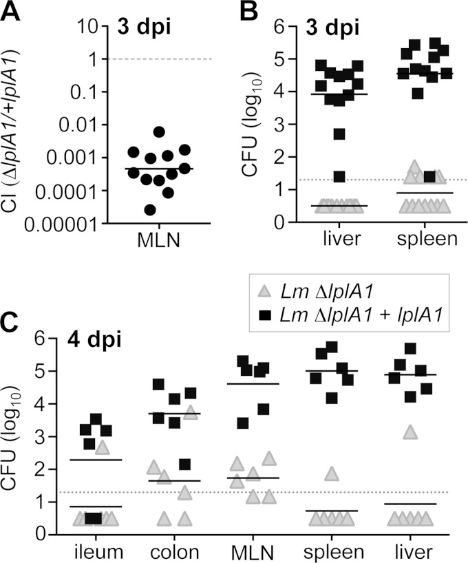 FIG 6