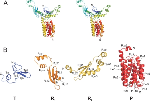 FIGURE 4.