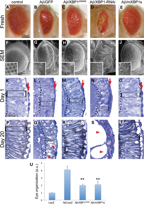 Figure 1.