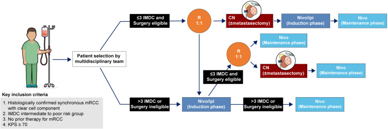 Fig. 1