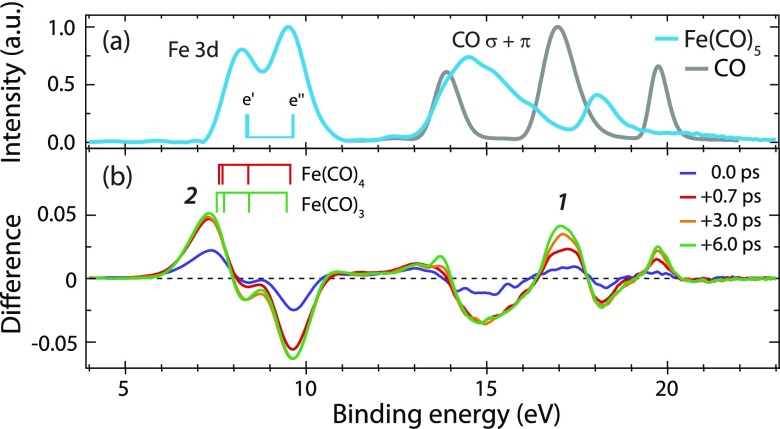 FIG. 1.