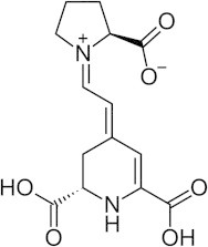 Fig. 1