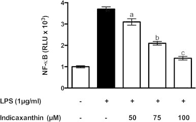 Fig. 6