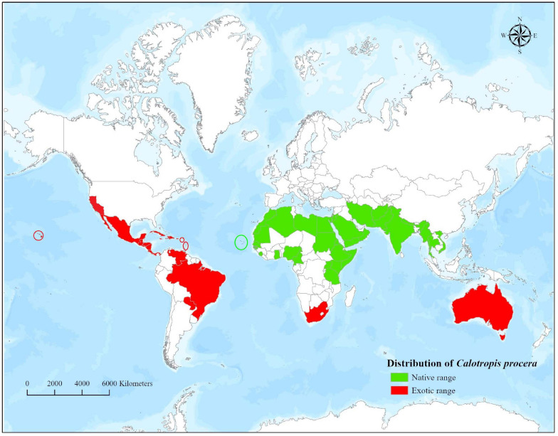 FIGURE 1