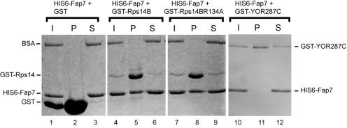 FIG. 6.
