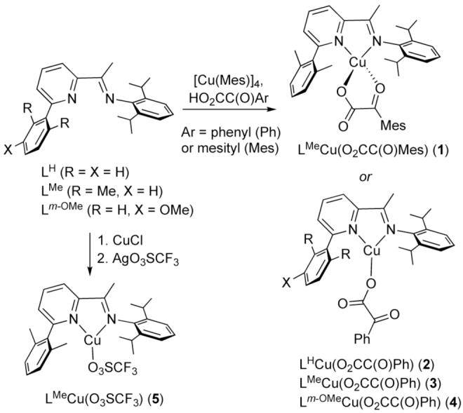 Scheme 2