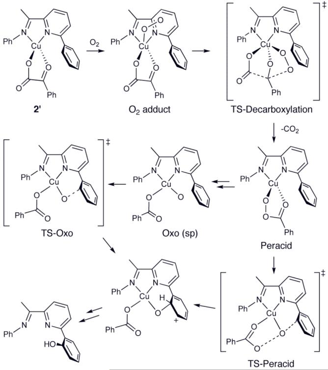 Scheme 4