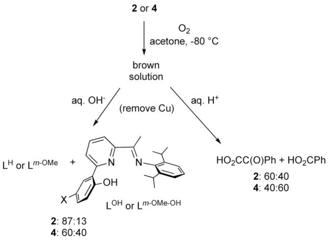 Scheme 3