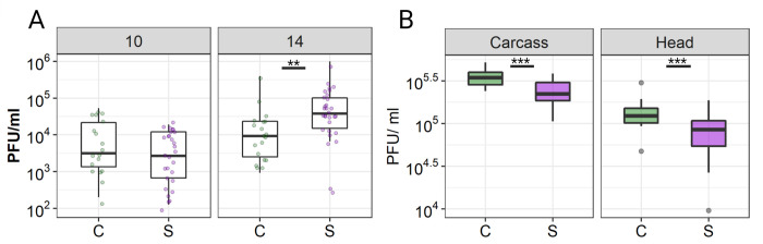 Fig 5