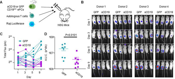 Figure 4: