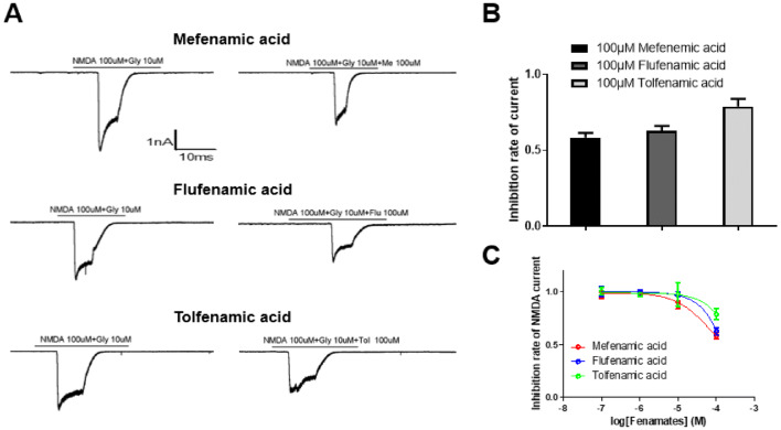 Fig. 7