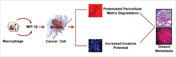 Figure 12.