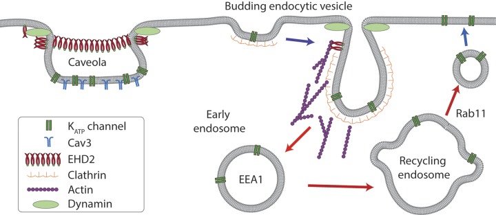 Figure 10.