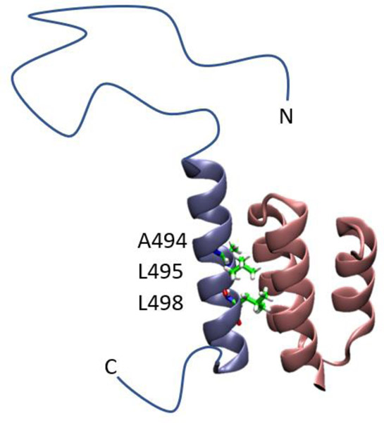 Figure 4.