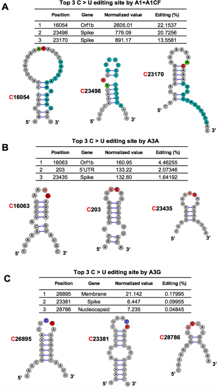 Fig. 3.