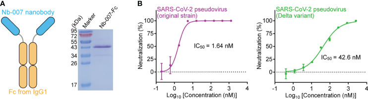 Figure 6