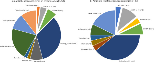 Pie charts depict the distribution of antibiotic resistance genes. The first chart represents 53 genes on chromosomes. The second chart depicts 30 genes on plasmids. Other categories include tetracycline, quinolone, and specific beta-lactamase genes.