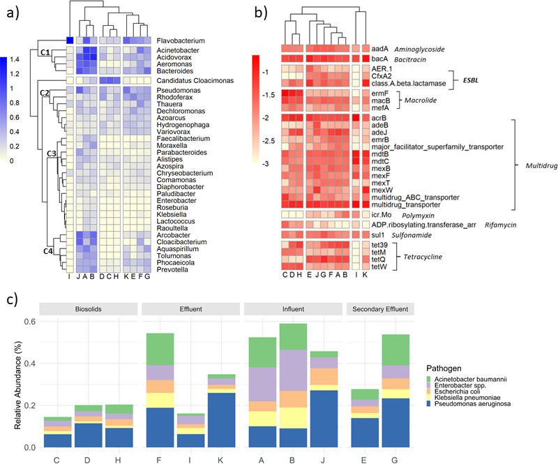 Heatmaps display microbial community abundance and antibiotic resistance gene presence in various environments. Bar graph depicts the relative abundance of pathogens, including Acinetobacter baumannii, Enterobacter spp., and Escherichia coli.