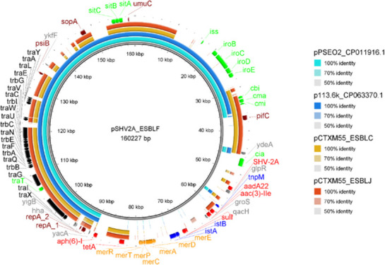 Circular genomic map of plasmid pSHV2A_ESBLF depicts various antibiotic resistance and virulence genes. Outer colored bands represent regions with 100% identity to other plasmids.