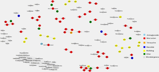 Network map depicts connections between microbial genera and antibiotic resistance genes categorized by type: aminoglycoside, beta-lactam, tetracycline, macrolide, multidrug, and others.