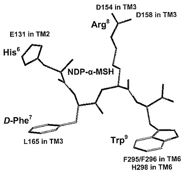 Fig. (14)