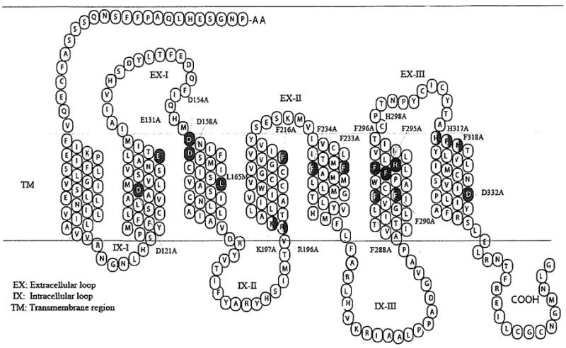 Fig. (13)