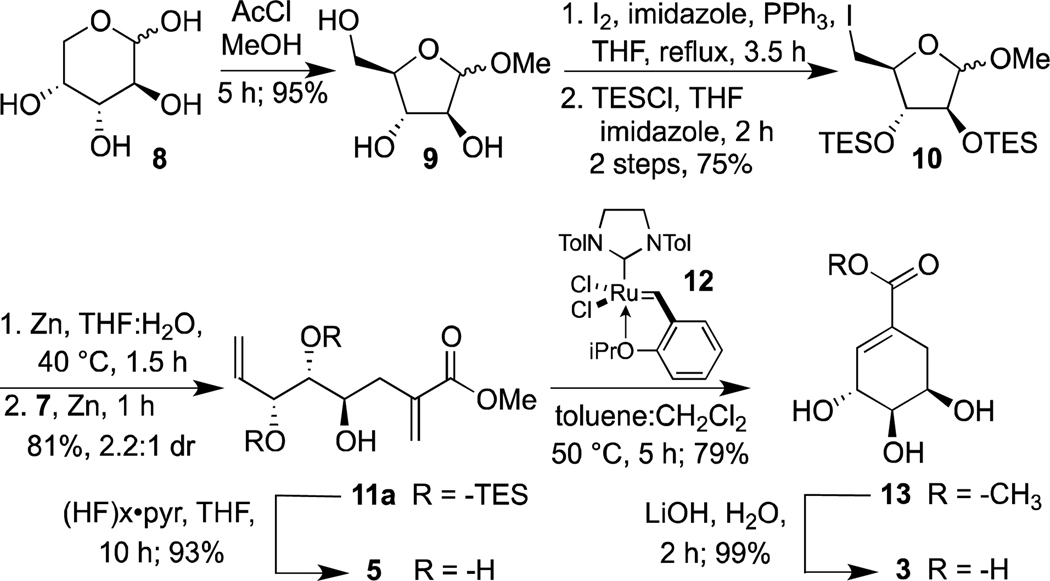 Scheme 2