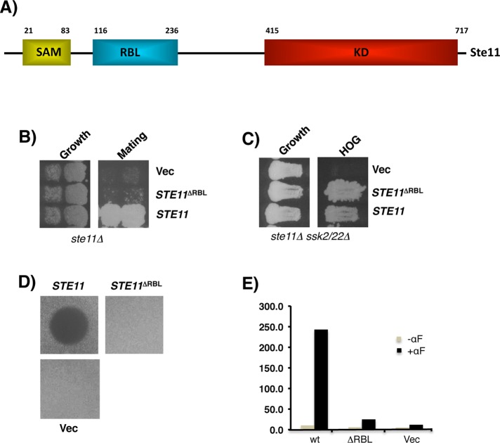 FIGURE 1: